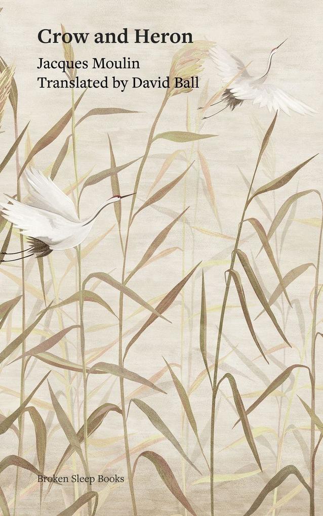 Crow and Heron