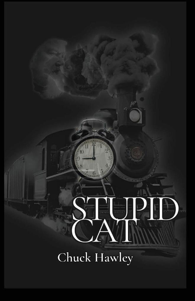 Stupid Cat