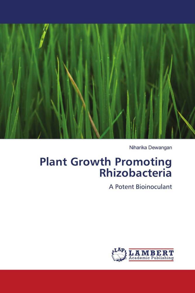Plant Growth Promoting Rhizobacteria