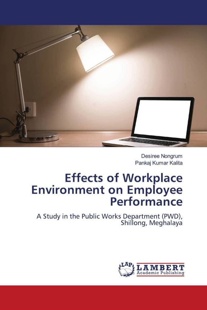 Effects of Workplace Environment on Employee Performance