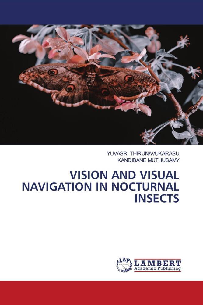 VISION AND VISUAL NAVIGATION IN NOCTURNAL INSECTS