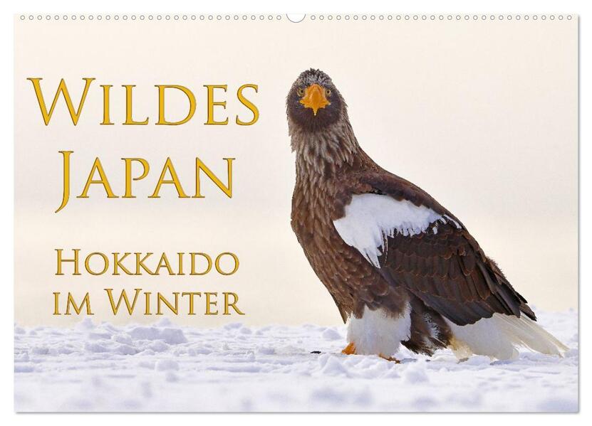 Wildes Japan - Hokkaido im Winter (Wandkalender 2026 DIN A2 quer) CALVENDO Monatskalender