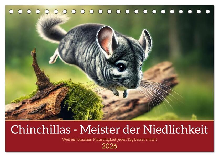 Chinchillas - Meister der Niedlichkeit (Tischkalender 2026 DIN A5 quer) CALVENDO Monatskalender