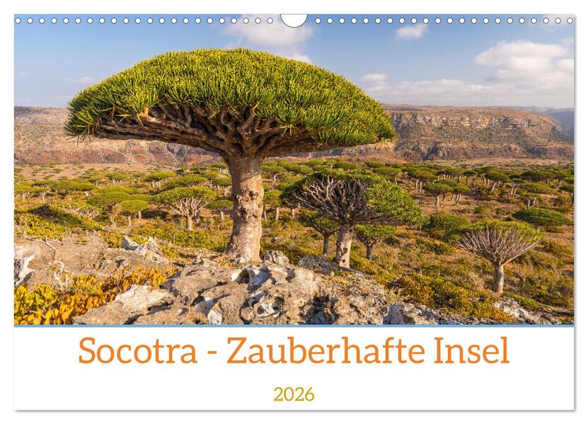 Socotra - Zauberhafte Insel (Wandkalender 2026 DIN A3 quer) CALVENDO Monatskalender