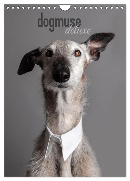 dogmuse deluxe (Wandkalender 2026 DIN A4 hoch) CALVENDO Monatskalender