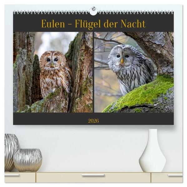 Eulen - Flügel der Nacht (hochwertiger Premium Wandkalender 2026 DIN A2 quer) Kunstdruck in Hochglanz
