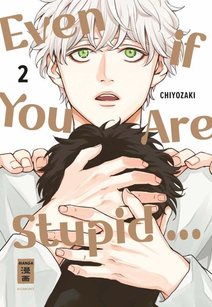 Even if You Are Stupid ... 02