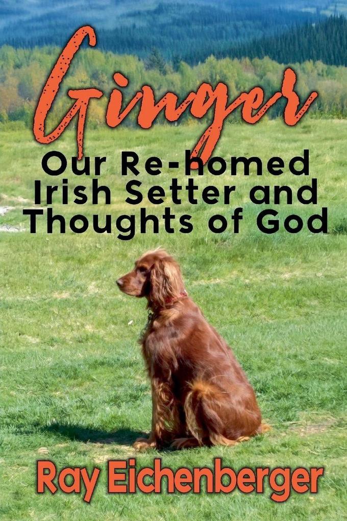 Ginger- Our Re-homed Irish Setter and Thoughts of God