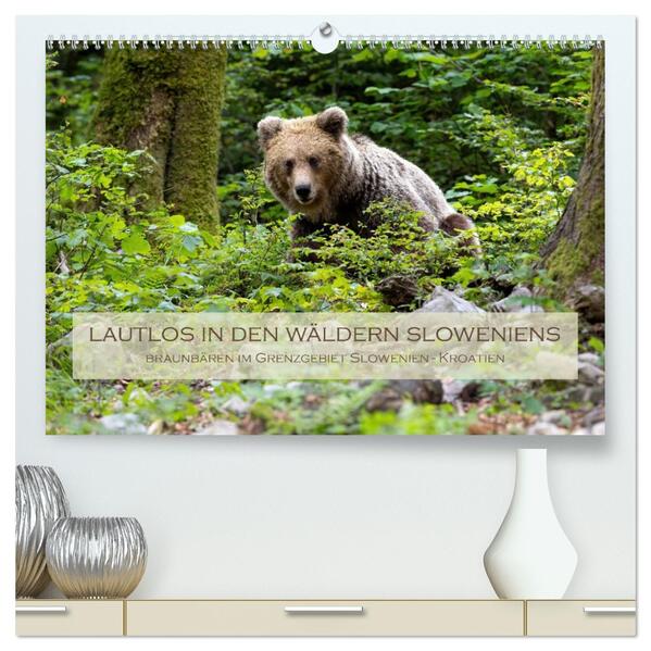 Lautlos in den Wäldern Sloweniens (hochwertiger Premium Wandkalender 2026 DIN A2 quer) Kunstdruck in Hochglanz
