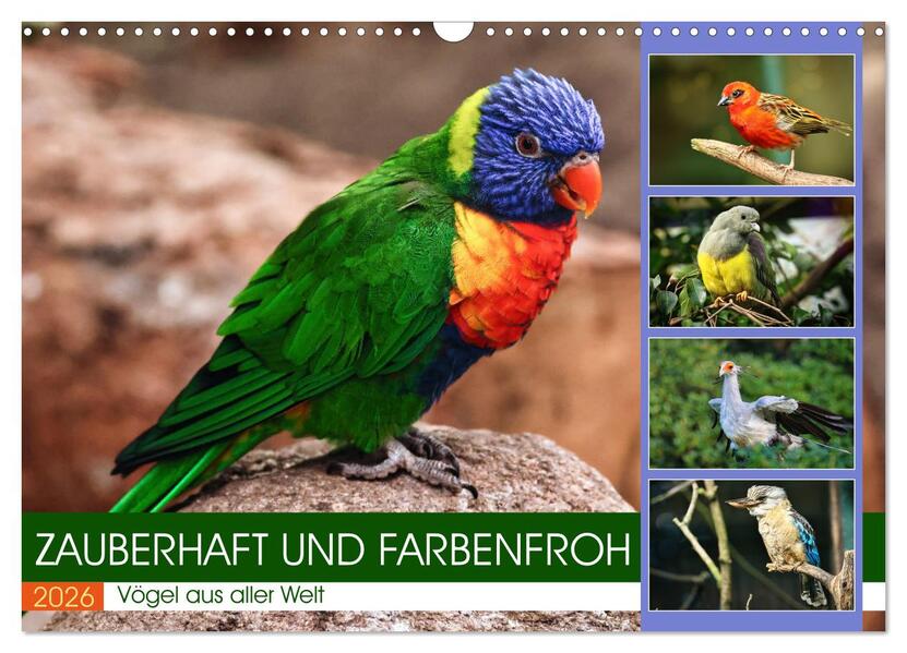 Zauberhaft und farbenfroh (Wandkalender 2026 DIN A3 quer) CALVENDO Monatskalender