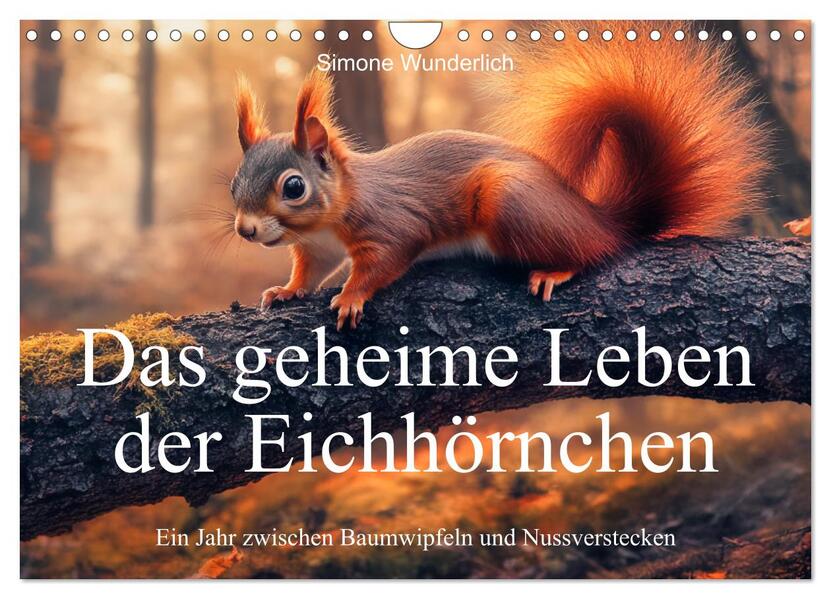 Das geheime Leben der Eichhörnchen - Ein Jahr zwischen Baumwipfeln und Nussverstecken (Wandkalender 2026 DIN A4 quer) CALVENDO Monatskalender