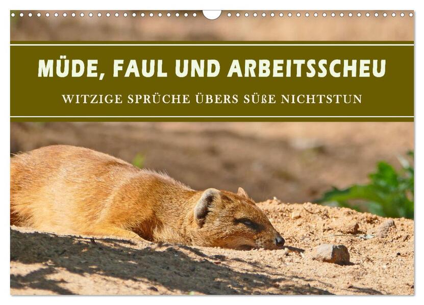 Müde faul und arbeitsscheu (Wandkalender 2026 DIN A3 quer) CALVENDO Monatskalender