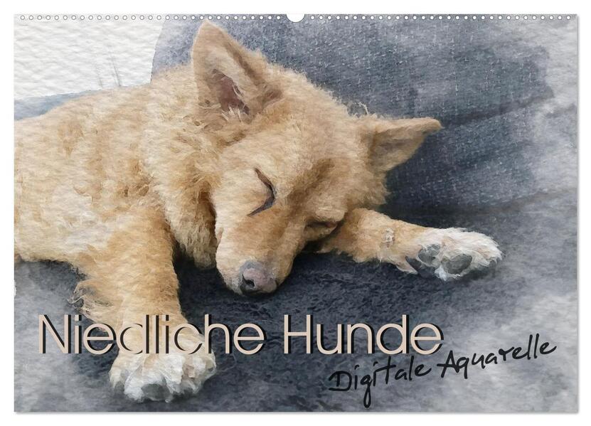 Niedliche Hunde - Digitale Aquarelle (Wandkalender 2026 DIN A2 quer) CALVENDO Monatskalender