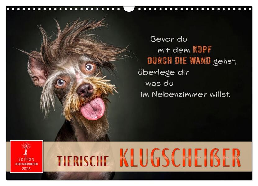 Tierische Klugscheißer (Wandkalender 2026 DIN A3 quer) CALVENDO Monatskalender