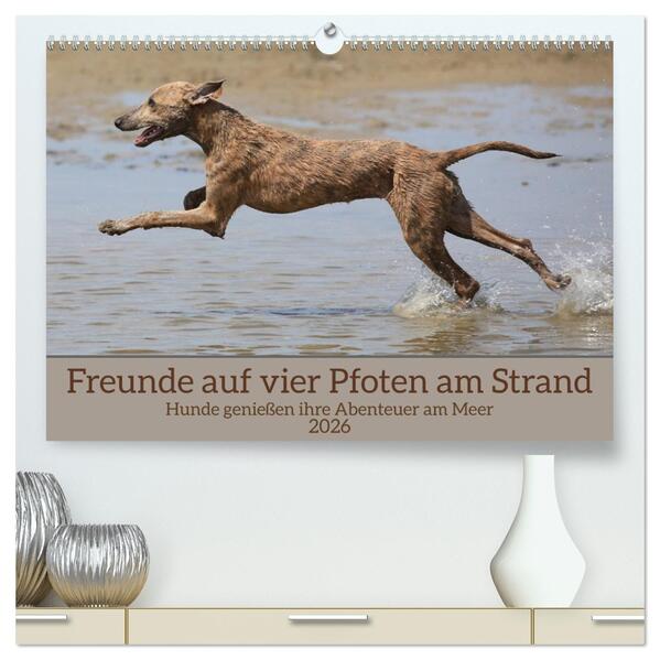 Freunde auf vier Pfoten am Strand (hochwertiger Premium Wandkalender 2026 DIN A2 quer) Kunstdruck in Hochglanz