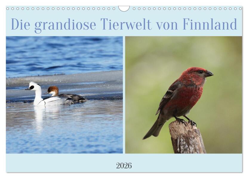 Die grandiose Tierwelt von Finnland (Wandkalender 2026 DIN A3 quer) CALVENDO Monatskalender