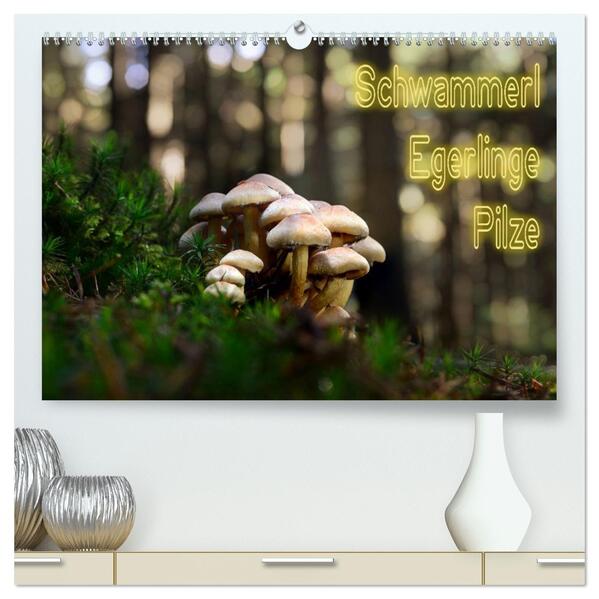 Schwammerl Egerlinge Pilze (hochwertiger Premium Wandkalender 2026 DIN A2 quer) Kunstdruck in Hochglanz