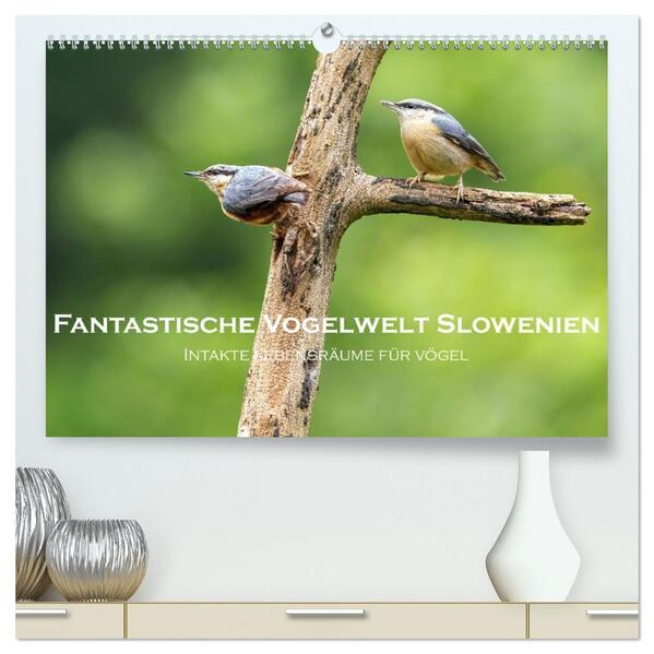 Fantastische Vogelwelt Slowenien (hochwertiger Premium Wandkalender 2026 DIN A2 quer) Kunstdruck in Hochglanz