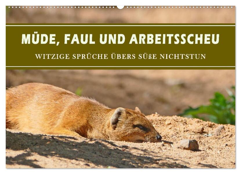Müde faul und arbeitsscheu (Wandkalender 2026 DIN A2 quer) CALVENDO Monatskalender