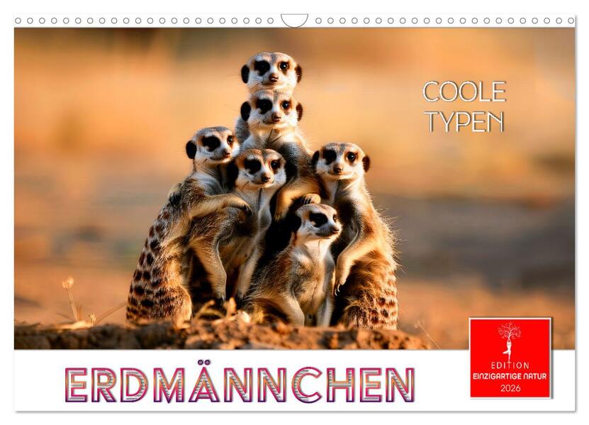 Erdmännchen - coole Typen (Wandkalender 2026 DIN A3 quer) CALVENDO Monatskalender