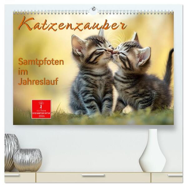 Katzenzauber - Samtpfoten im Jahreslauf (hochwertiger Premium Wandkalender 2026 DIN A2 quer) Kunstdruck in Hochglanz