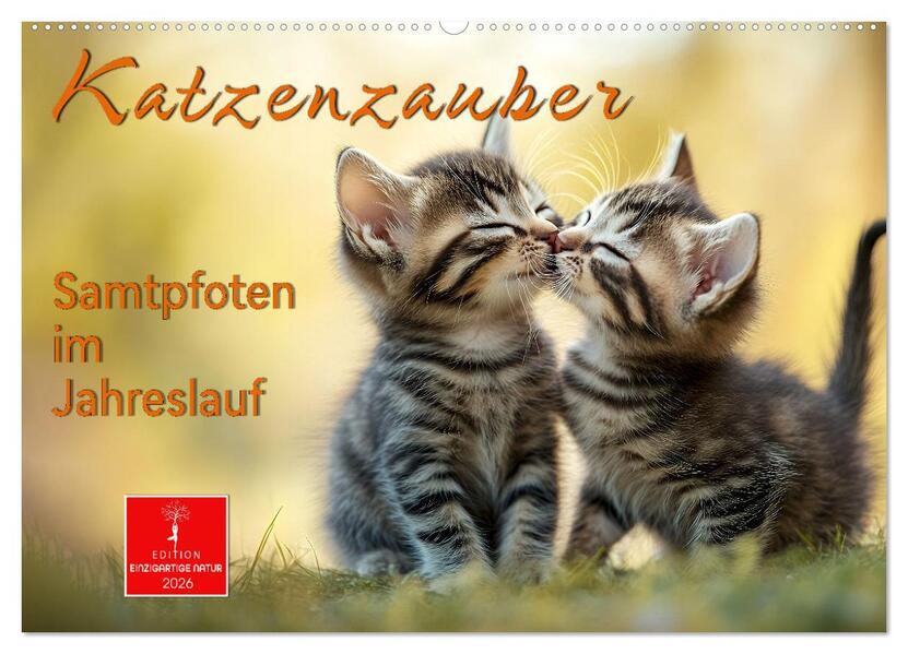 Katzenzauber - Samtpfoten im Jahreslauf (Wandkalender 2026 DIN A2 quer) CALVENDO Monatskalender