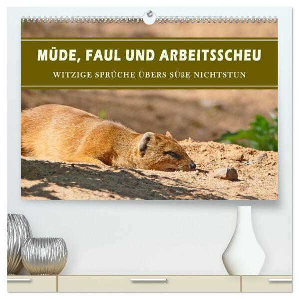 Müde faul und arbeitsscheu (hochwertiger Premium Wandkalender 2026 DIN A2 quer) Kunstdruck in Hochglanz