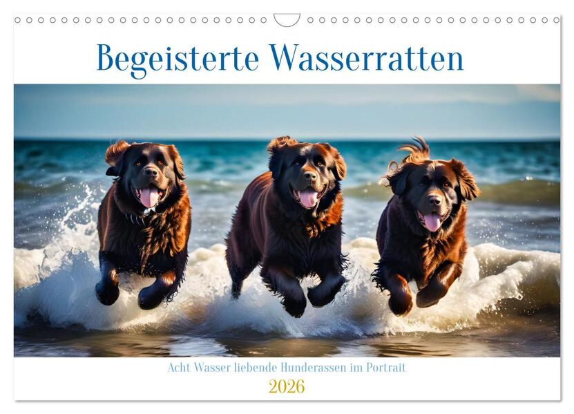 Begeisterte Wasserratten (Wandkalender 2026 DIN A3 quer) CALVENDO Monatskalender