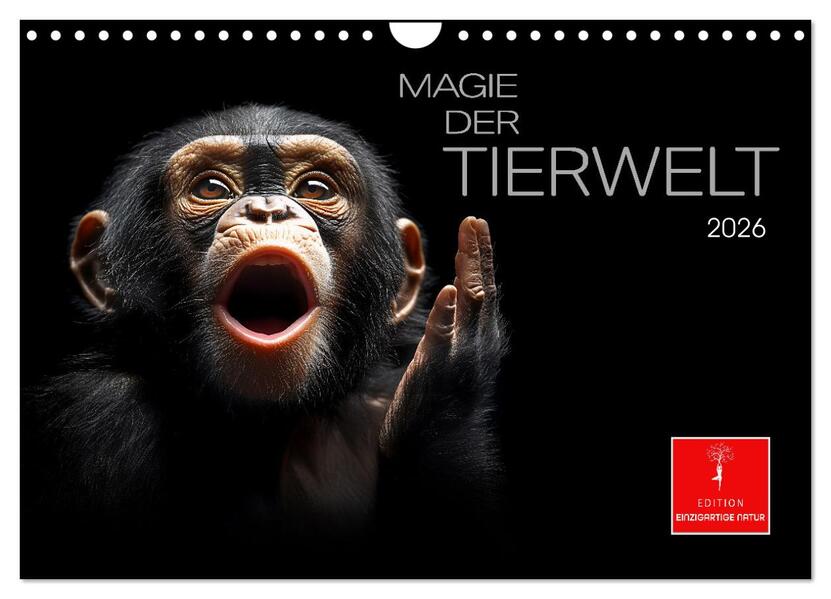 Magie der Tierwelt (Wandkalender 2026 DIN A4 quer) CALVENDO Monatskalender