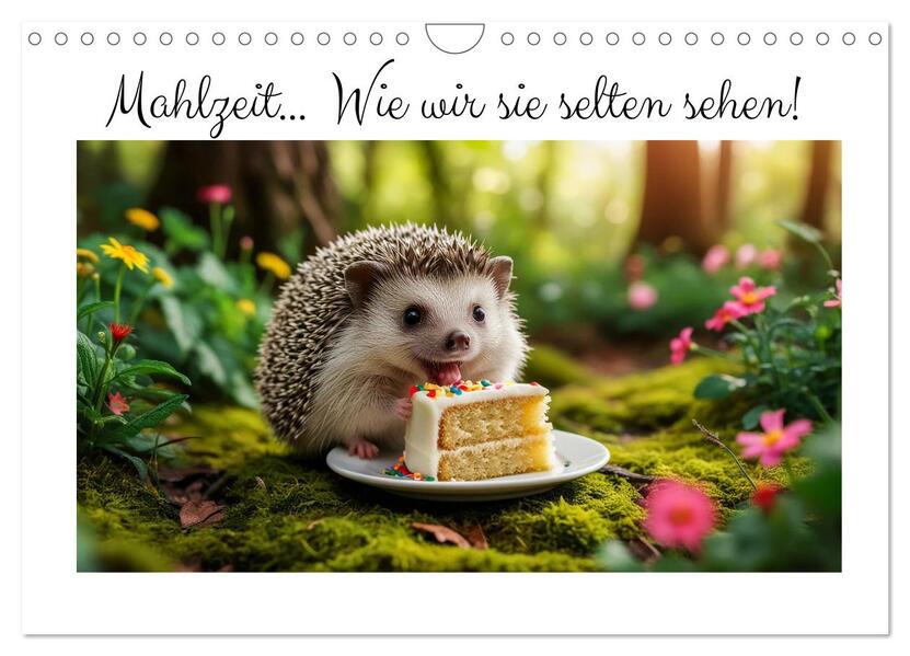 Mahlzeit... Wie wir Sie selten sehen! (Wandkalender 2026 DIN A4 quer) CALVENDO Monatskalender