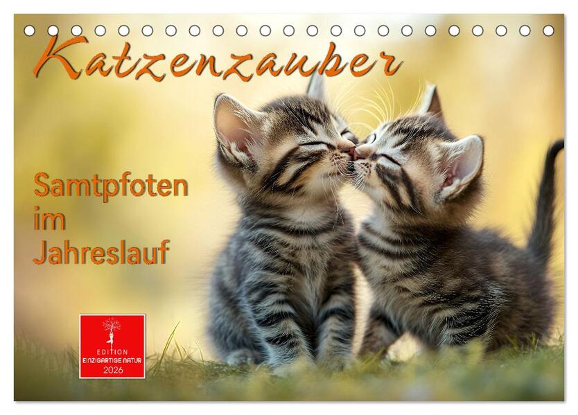 Katzenzauber - Samtpfoten im Jahreslauf (Tischkalender 2026 DIN A5 quer) CALVENDO Monatskalender