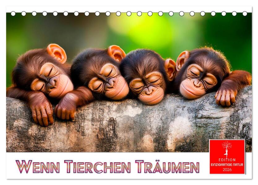 Wenn Tierchen träumen (Tischkalender 2026 DIN A5 quer) CALVENDO Monatskalender