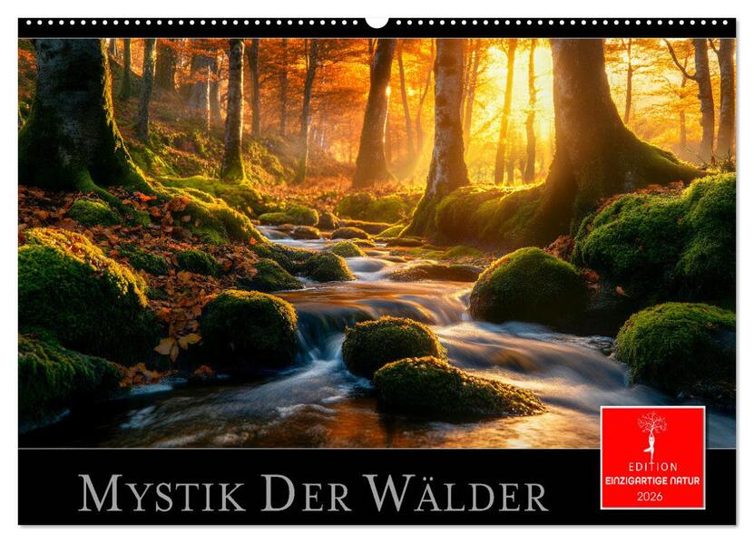 Mystik der Wälder (Wandkalender 2026 DIN A2 quer) CALVENDO Monatskalender