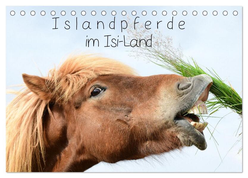 Islandpferde im Isi-Land (Tischkalender 2026 DIN A5 quer) CALVENDO Monatskalender