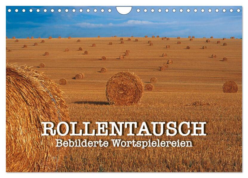 Rollentausch - Bebilderte Wortspielereien (Wandkalender 2026 DIN A4 quer) CALVENDO Monatskalender