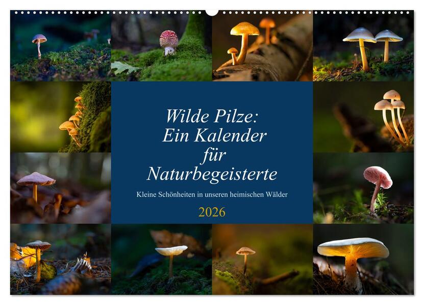 Wilde Pilze: Ein Kalender für Naturbegeisterte (Wandkalender 2026 DIN A2 quer) CALVENDO Monatskalender