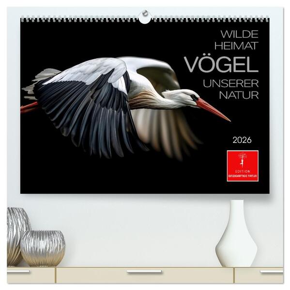 Wilde Heimat - Vögel unserer Natur (hochwertiger Premium Wandkalender 2026 DIN A2 quer) Kunstdruck in Hochglanz