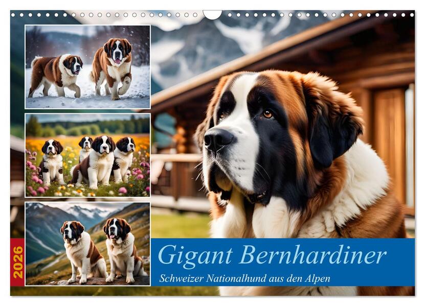 Gigant Bernhardiner (Wandkalender 2026 DIN A3 quer) CALVENDO Monatskalender