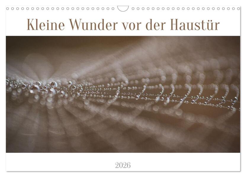 Kleine Wunder vor der Haustür (Wandkalender 2026 DIN A3 quer) CALVENDO Monatskalender