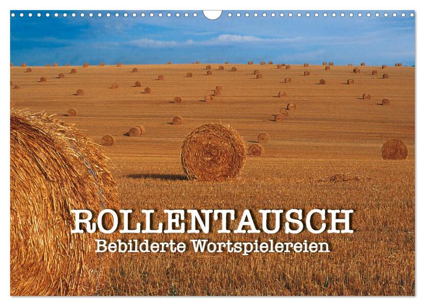 Rollentausch - Bebilderte Wortspielereien (Wandkalender 2026 DIN A3 quer) CALVENDO Monatskalender