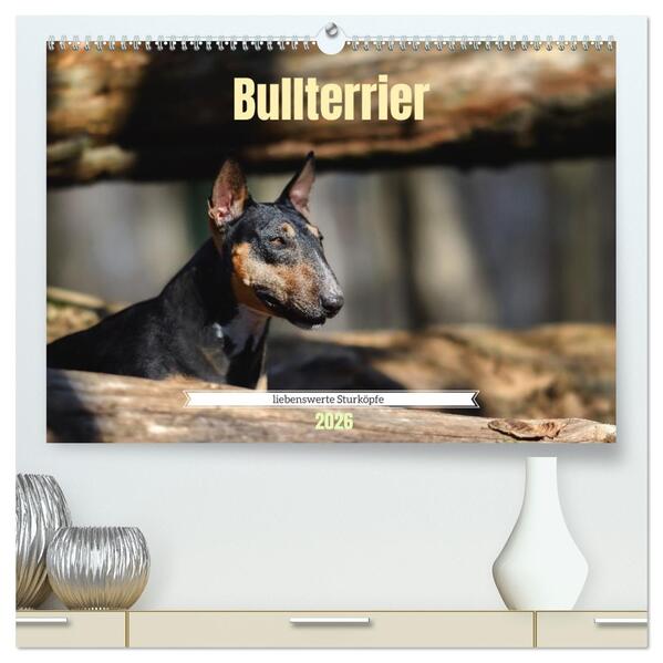 Bullterrier liebenswerte Sturköpfe (hochwertiger Premium Wandkalender 2026 DIN A2 quer) Kunstdruck in Hochglanz