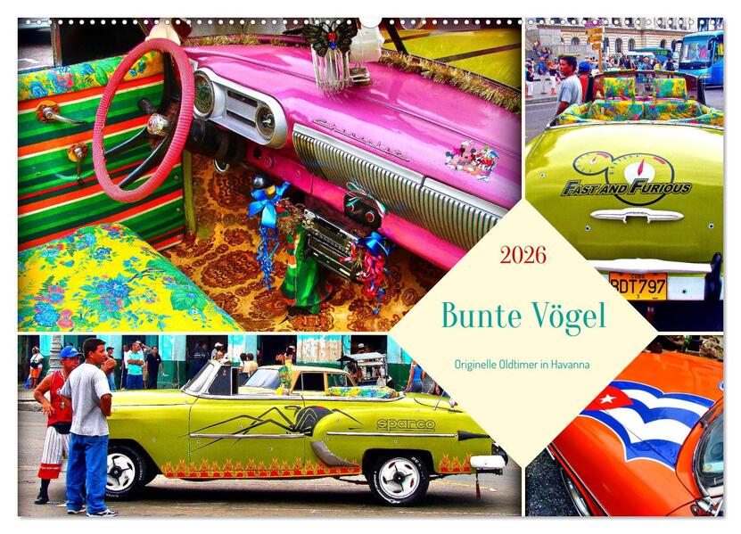 Bunte Vögel - Originelle Oldtimer in Havanna (Wandkalender 2026 DIN A2 quer) CALVENDO Monatskalender