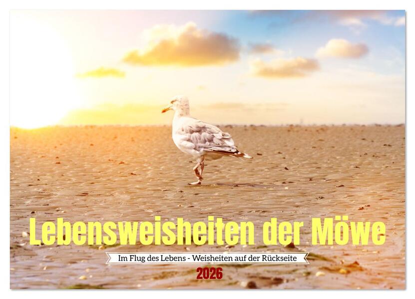 Lebensweisheiten der Möwe - Im Flug des Lebens (Wandkalender 2026 DIN A3 quer) CALVENDO Monatskalender