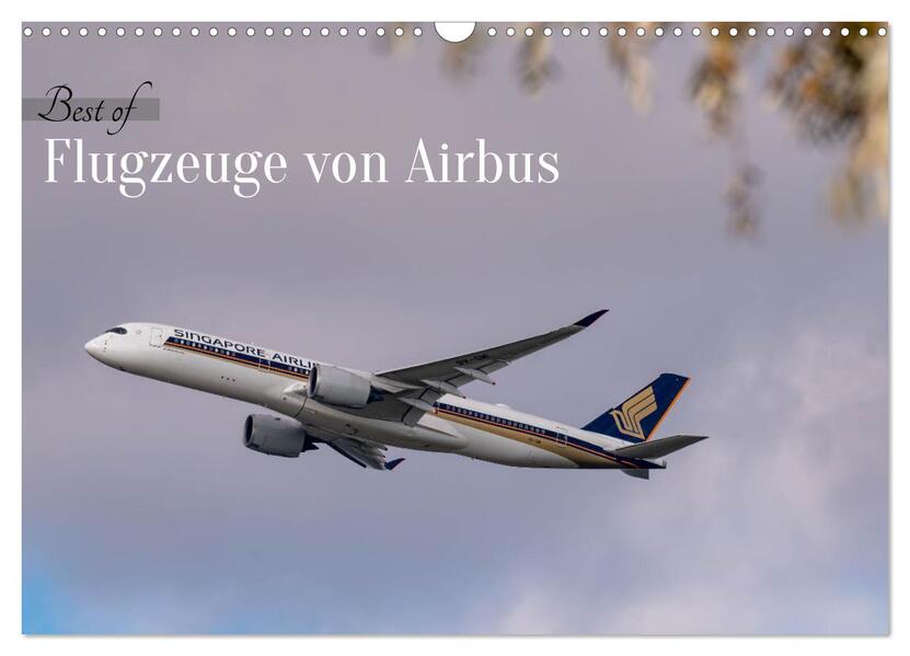 Flugzeuge von Airbus 2026 (Wandkalender 2026 DIN A3 quer) CALVENDO Monatskalender