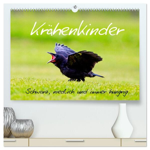 Krähenkinder - Schwarz niedlich und immer hungrig (hochwertiger Premium Wandkalender 2026 DIN A2 quer) Kunstdruck in Hochglanz