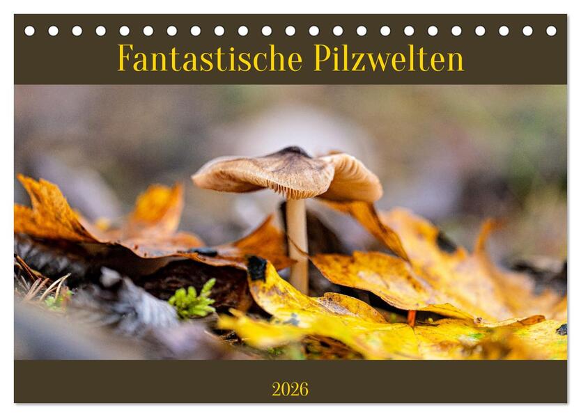 Fantastische Pilzwelten (Tischkalender 2026 DIN A5 quer) CALVENDO Monatskalender