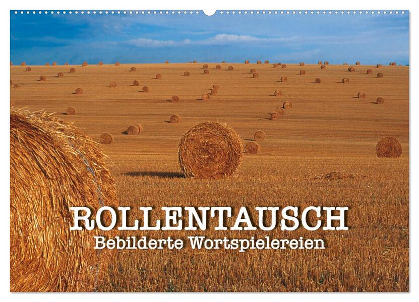 Rollentausch - Bebilderte Wortspielereien (Wandkalender 2026 DIN A2 quer) CALVENDO Monatskalender