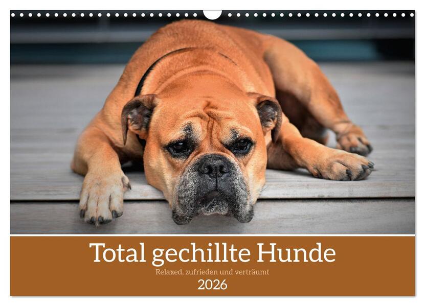 Total gechillte Hunde (Wandkalender 2026 DIN A3 quer) CALVENDO Monatskalender