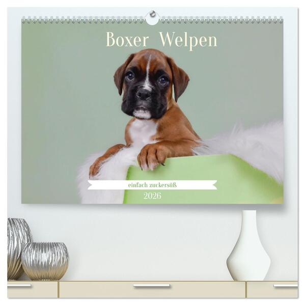 Boxer Welpen einfach zuckersüß (hochwertiger Premium Wandkalender 2026 DIN A2 quer) Kunstdruck in Hochglanz