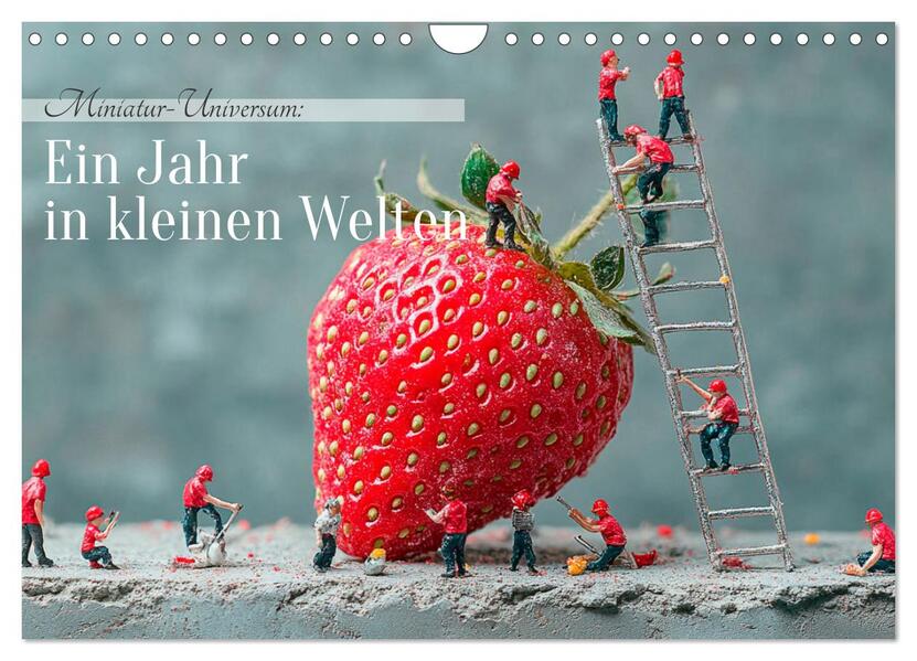 Miniatur-Universum: Ein Jahr in kleinen Welten (Wandkalender 2026 DIN A4 quer) CALVENDO Monatskalender